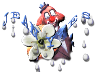 jeanyves.png